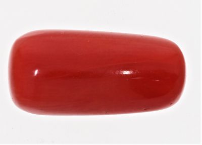 61733 Original Red Coral ( Munga or Moonga ) - 8.00 Carat Weight - Origin Italy