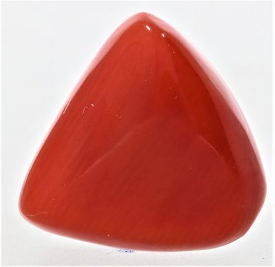 61775 Original Red Coral ( Munga or Moonga ) - 7.50 Carat Weight - Origin Italy