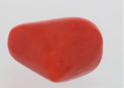 61782 Redstone Coral ( Munga or Moonga ) - 7.25 Carat Weight - Origin Italy