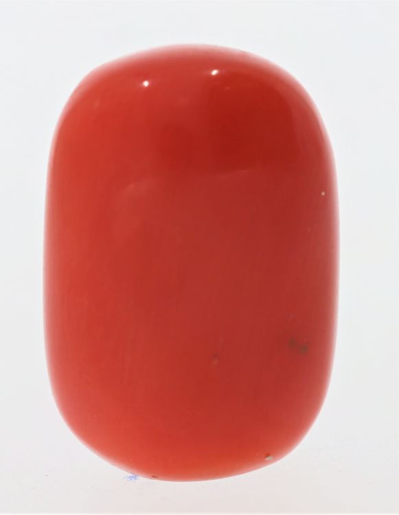 61784 Natural Red Coral ( Munga) - 17.25 Carat Weight - Origin Italy