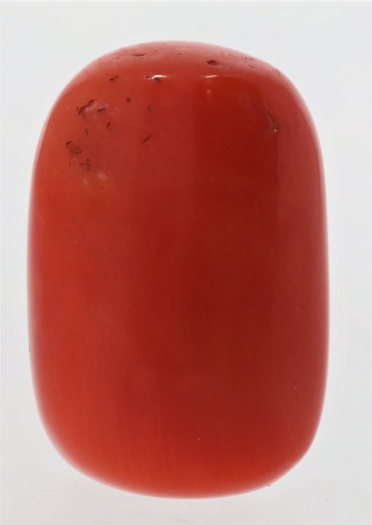 61784 Natural Red Coral ( Munga) - 17.25 Carat Weight - Origin Italy