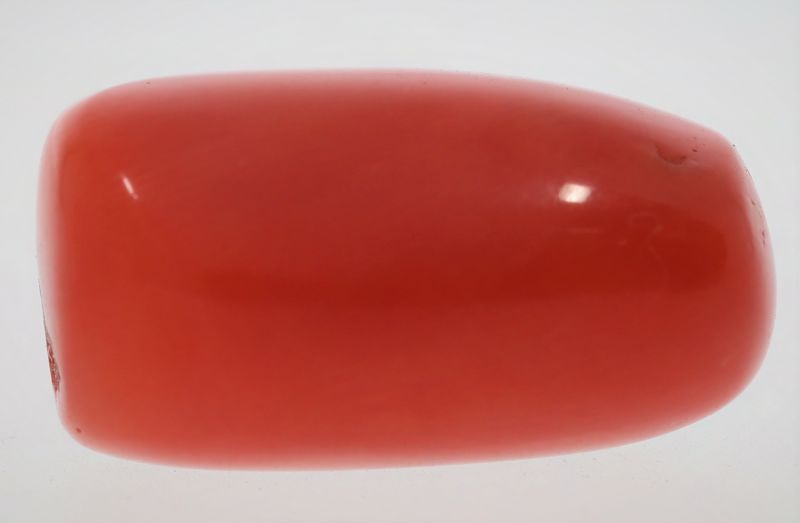 61784 Natural Red Coral ( Munga) - 17.25 Carat Weight - Origin Italy