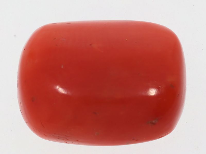 61788 Natural Red Coral ( Munga) - 16.00 Carat Weight - Origin Italy