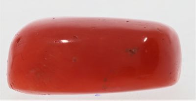 61788 Natural Red Coral ( Munga) - 16.00 Carat Weight - Origin Italy