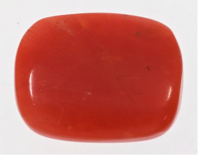 61788 Natural Red Coral ( Munga) - 16.00 Carat Weight - Origin Italy