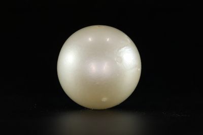 902005 Certified Natural Pearl (South Sea) 13 Carat Weight Origin Australia