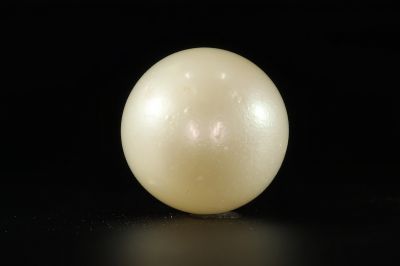 902008 Certified Natural Pearl (South Sea) 12.5 Carat Weight Origin Australia