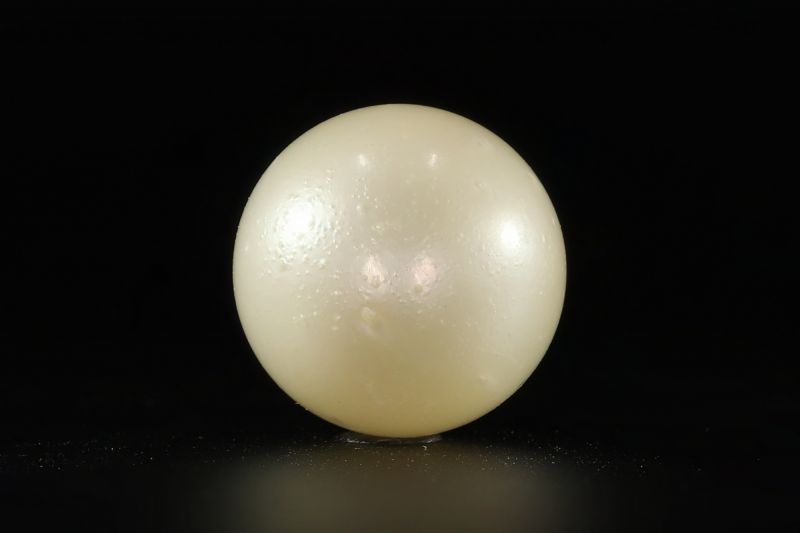 902008 Certified Natural Pearl (South Sea) 12.5 Carat Weight Origin Australia