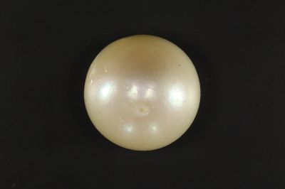 902009 Certified Natural Pearl (South Sea) 13.5 Carat Weight Origin Australia