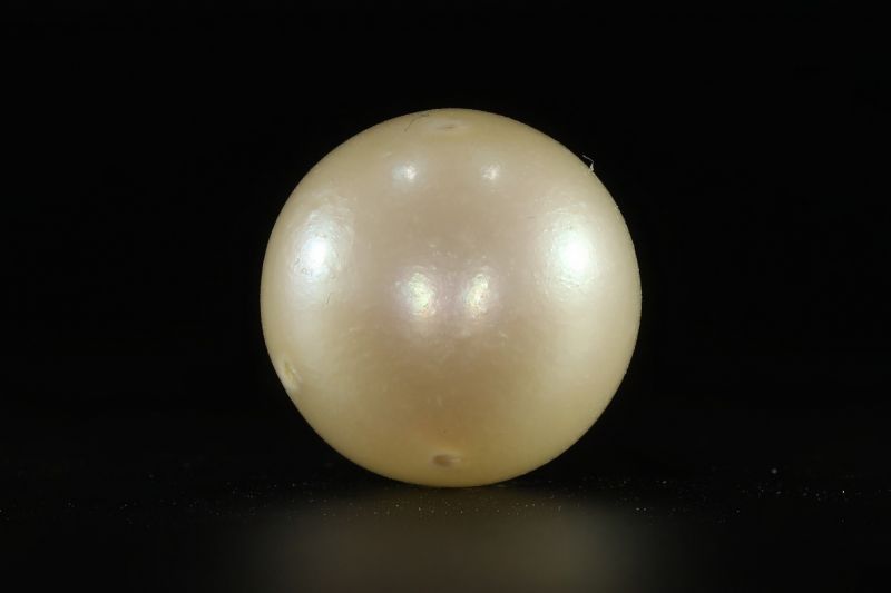 902009 Certified Natural Pearl (South Sea) 13.5 Carat Weight Origin Australia