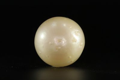 902009 Certified Natural Pearl (South Sea) 13.5 Carat Weight Origin Australia