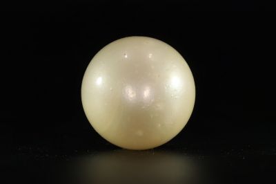 902011 Certified Natural Pearl (South Sea) 13.5 Carat Weight Origin Australia