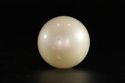 902013 Certified Natural Pearl (South Sea) 13.25 Carat Weight Origin Australia