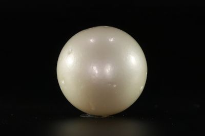 902017 Certified Natural Pearl (South Sea) 15.5 Carat Weight Origin Australia