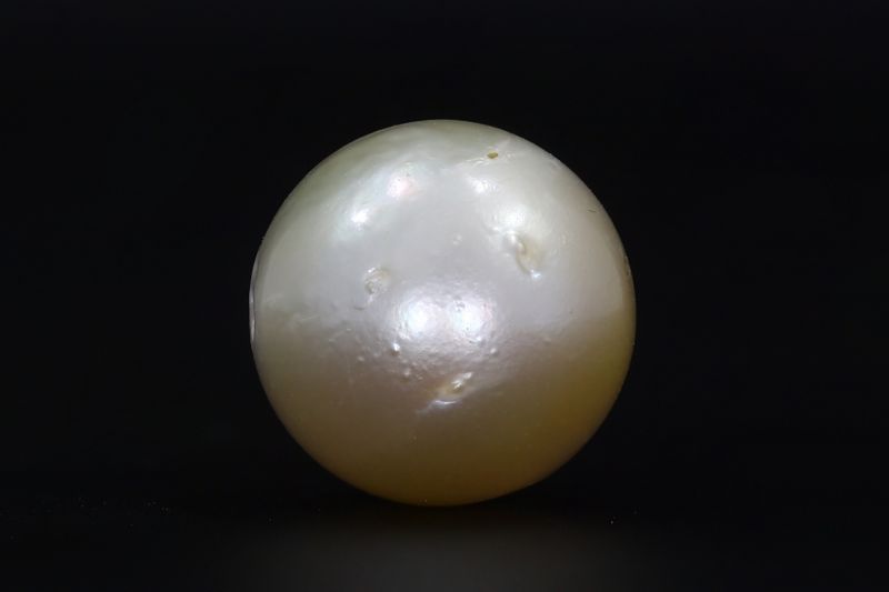 691719 Certified Natural Pearl (South Sea) 15.75 Carat Weight Origin Australia