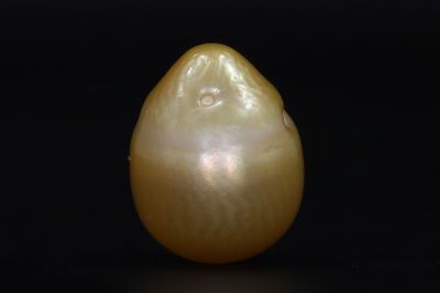 691729 Original Natural Pearl (South Sea) 13.6 Carat Weight Origin Australia