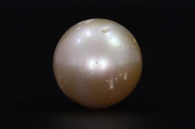 691731 Original Natural Pearl (South Sea) 17.95 Carat Weight Origin Australia