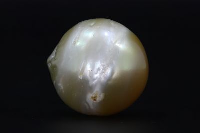 691737 Original Natural Pearl (South Sea) 20.75 Carat Weight Origin Australia