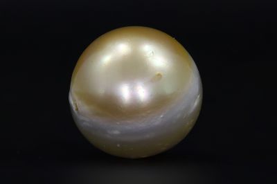 691737 Original Natural Pearl (South Sea) 20.75 Carat Weight Origin Australia