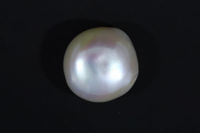 541712 Natural  Pearl (Moti) 8.05 Carat Weight-Origin India