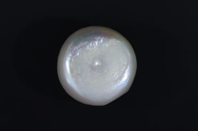 541722 Natural  Pearl (Moti) 12.65 Carat Weight-Origin India