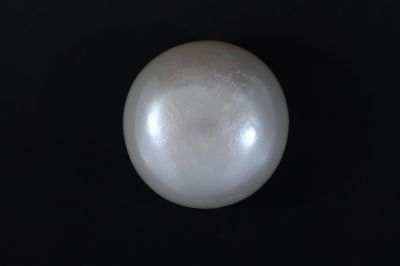 541729 Natural  Pearl (Moti) 12.2 Carat Weight-Origin India