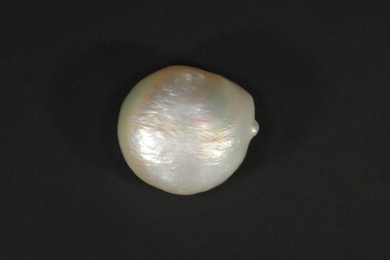 622001 Certified Natural Pearl (South Sea) 6.5 Carat Weight Origin Australia