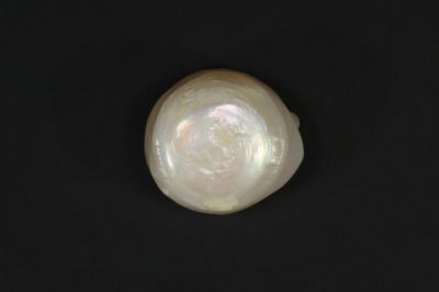 622001 Certified Natural Pearl (South Sea) 6.5 Carat Weight Origin Australia