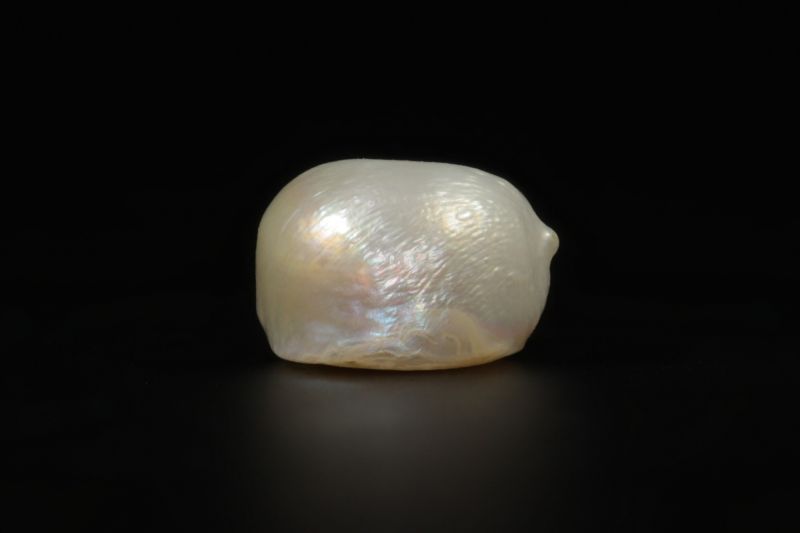 622001 Certified Natural Pearl (South Sea) 6.5 Carat Weight Origin Australia