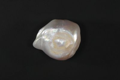 622003 Certified Natural Pearl (South Sea) 6.5 Carat Weight Origin Australia