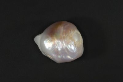 622003 Certified Natural Pearl (South Sea) 6.5 Carat Weight Origin Australia