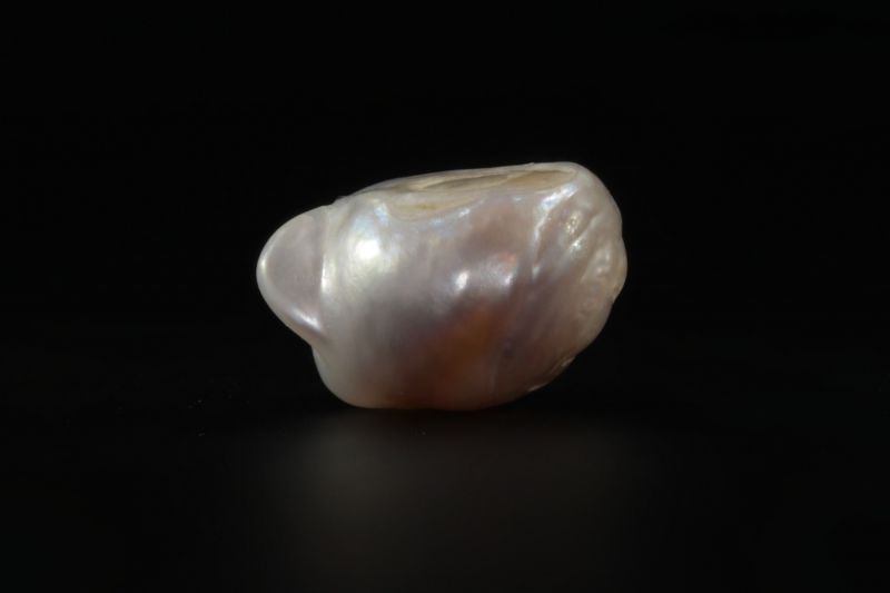 622003 Certified Natural Pearl (South Sea) 6.5 Carat Weight Origin Australia