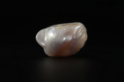 622003 Certified Natural Pearl (South Sea) 6.5 Carat Weight Origin Australia