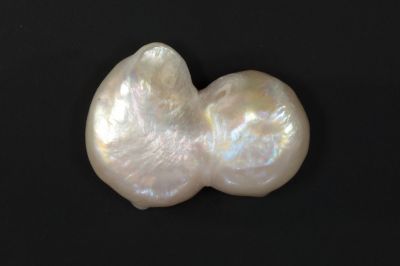 622004 Certified Natural Pearl (South Sea) 10.5 Carat Weight Origin Australia