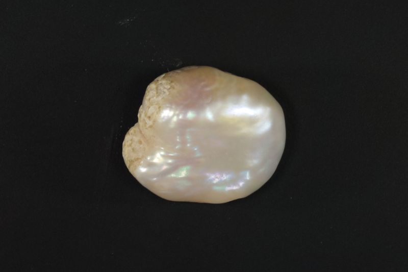 622006 Certified Natural Pearl (South Sea) 5.5 Carat Weight Origin Australia