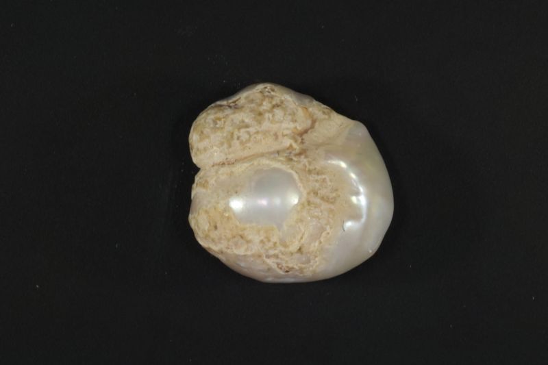 622006 Certified Natural Pearl (South Sea) 5.5 Carat Weight Origin Australia