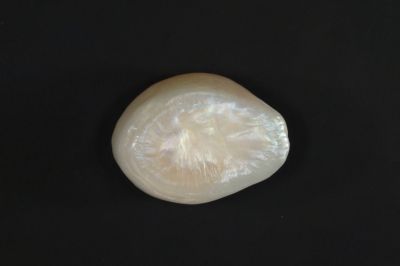 622008 Certified Natural Pearl (South Sea) 6 Carat Weight Origin Australia