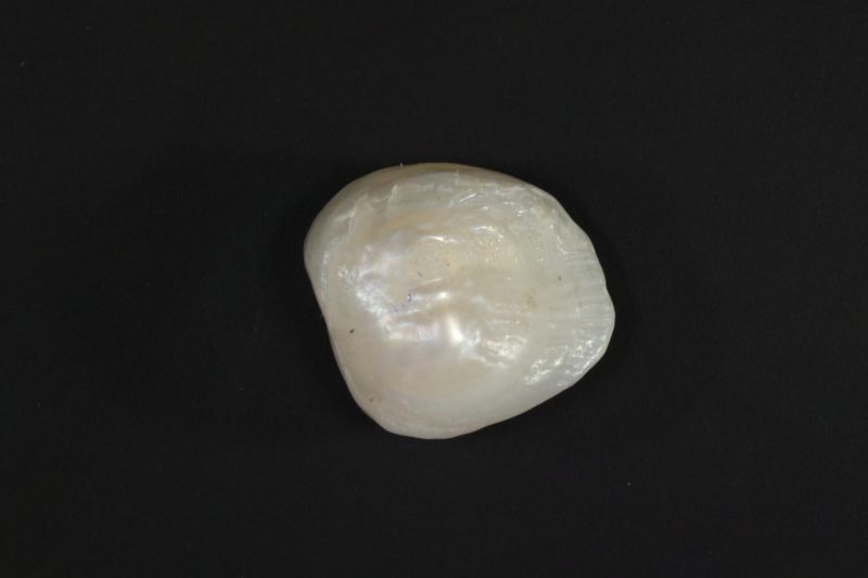 622009 Certified Natural Pearl (South Sea) 4.25 Carat Weight Origin Australia