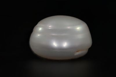 622021 Certified Natural Pearl (South Sea) 20 Carat Weight Origin Australia