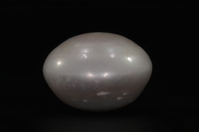 622022 Certified Natural Pearl (South Sea) 20.25 Carat Weight Origin Australia