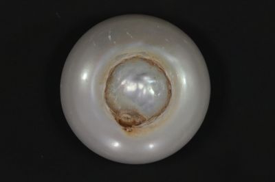 622026 Certified Natural Pearl (South Sea) 23.5 Carat Weight Origin Australia