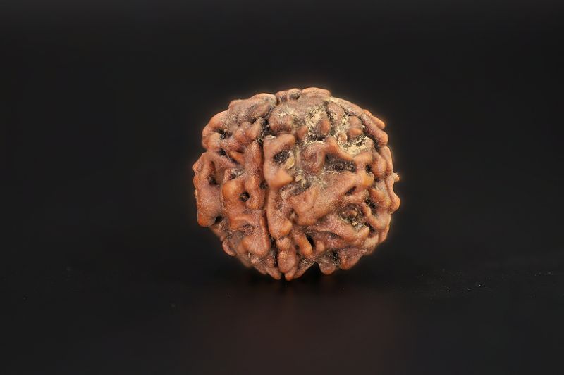 4 Mukhi Rudraksha - 15.17 X 15.34 MM Weight - Origin - Nepal