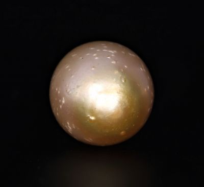 211702 Original Natural Pearl (South Sea) 16.65 Carat Weight Origin Australia