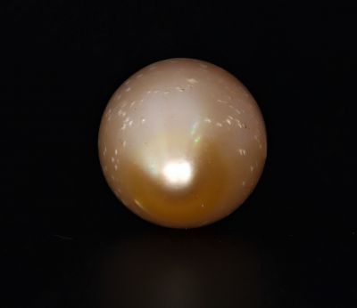 211702 Original Natural Pearl (South Sea) 16.65 Carat Weight Origin Australia