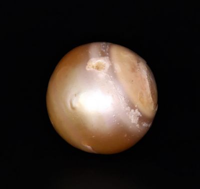 211706 Original Natural Pearl (South Sea) 22.15 Carat Weight Origin Australia