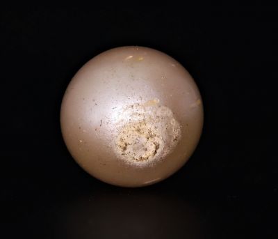 211707 Original Natural Pearl (South Sea) 15.8 Carat Weight Origin Australia