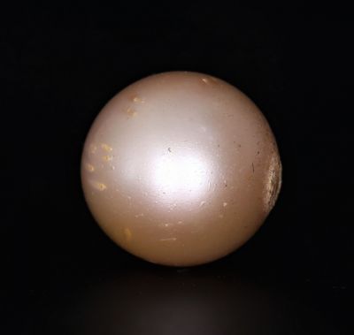 211707 Original Natural Pearl (South Sea) 15.8 Carat Weight Origin Australia