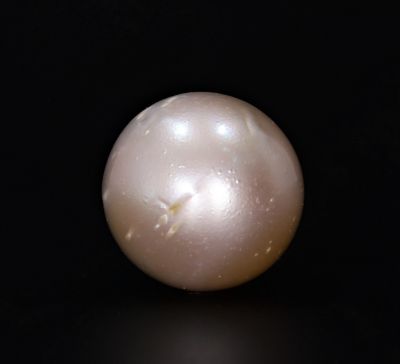 211709 Original Natural Pearl (South Sea) 15.95 Carat Weight Origin Australia