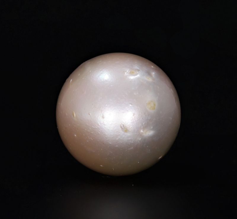 211709 Original Natural Pearl (South Sea) 15.95 Carat Weight Origin Australia