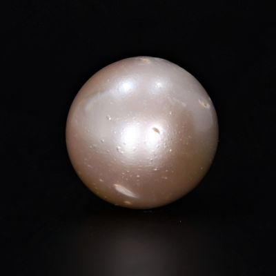 211709 Original Natural Pearl (South Sea) 15.95 Carat Weight Origin Australia